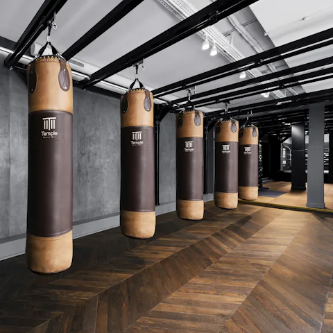 A row of punching bags in a gym